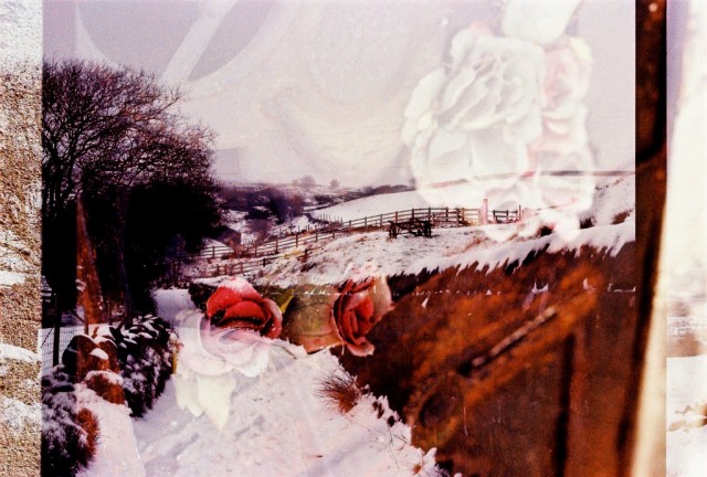 Photo by Beth Maiden