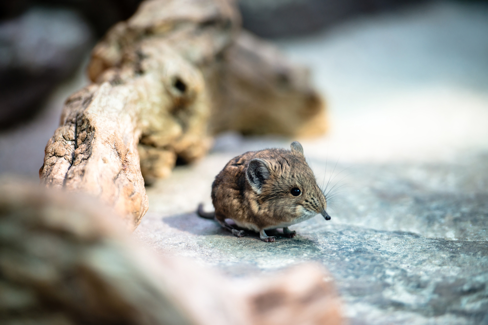 Helping You Help Yourself #17