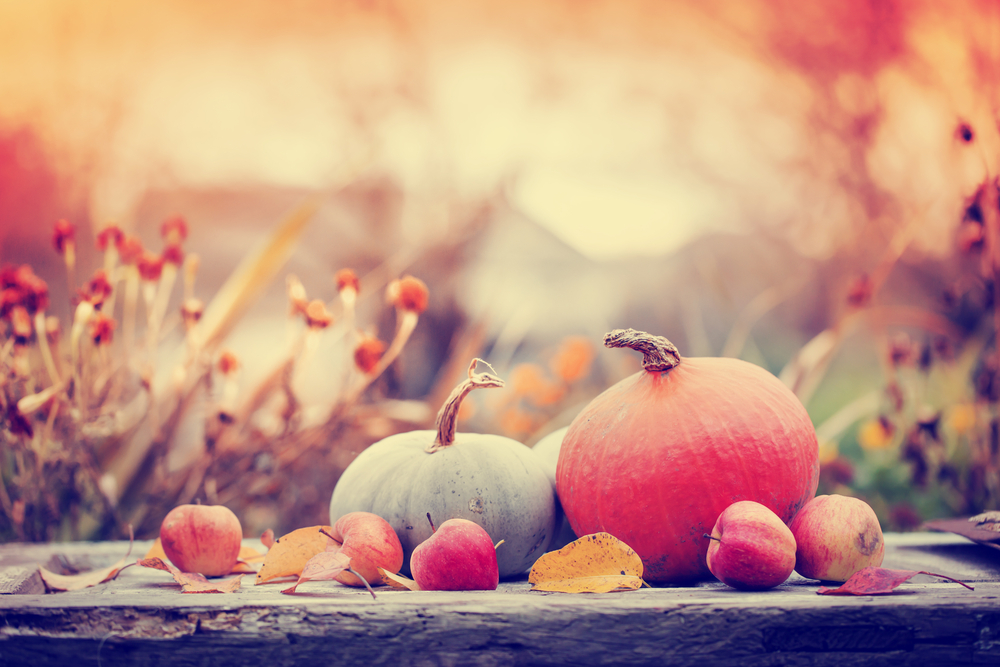 100 Things Autostraddle Staffers Are Thankful For This Year