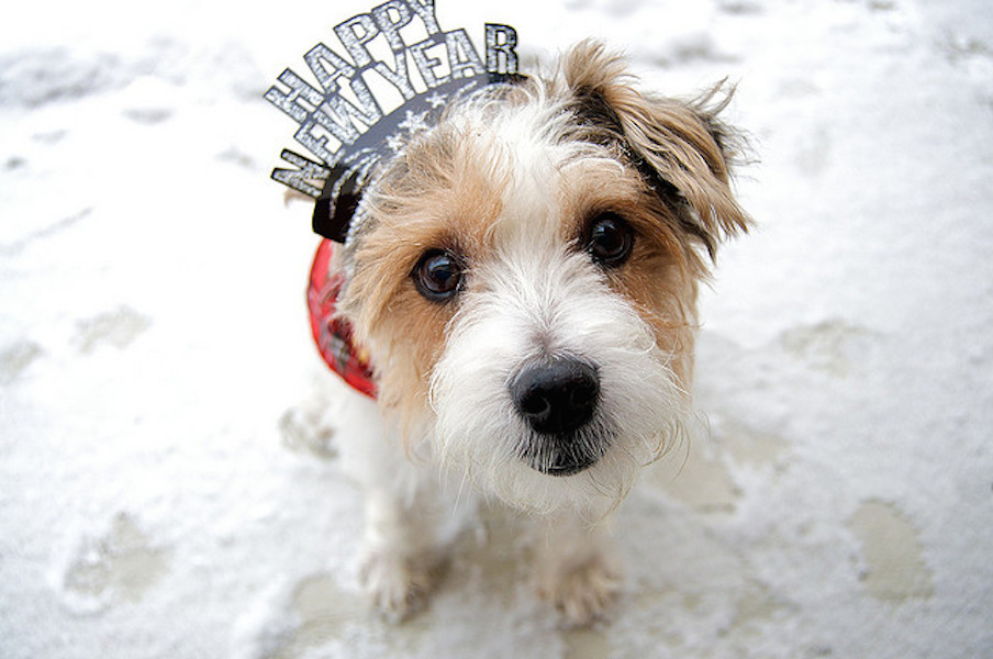NEW YEAR’S OPEN THREAD: What’s 2016 Gonna Be All About For You?