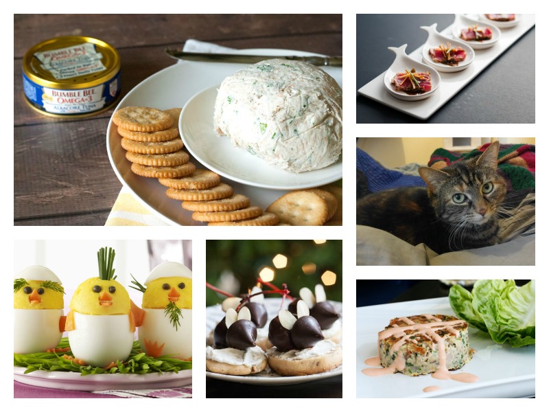 29 Foods My Girlfriend’s Cat Would Like to Cook for Me