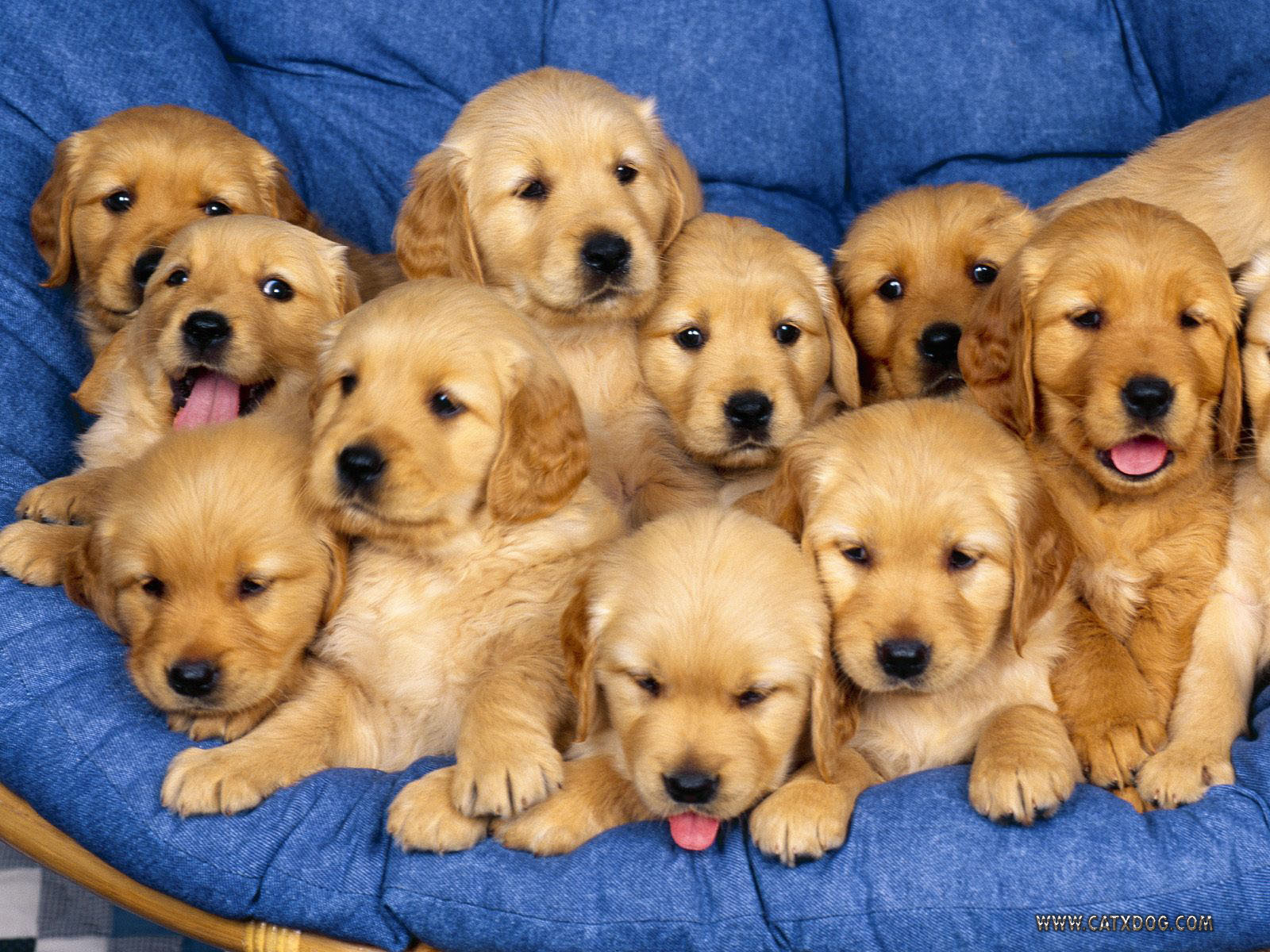 FRIDAY OPEN THREAD: No Rules, Just Right (for Oversharing)