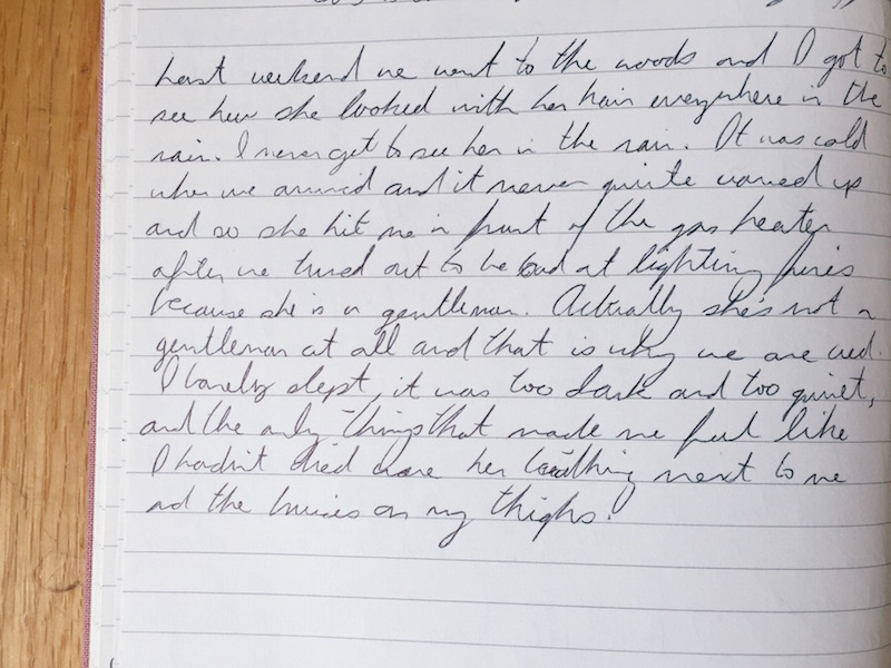 23 Excerpts From Carolyn’s Diary, 2015–2016