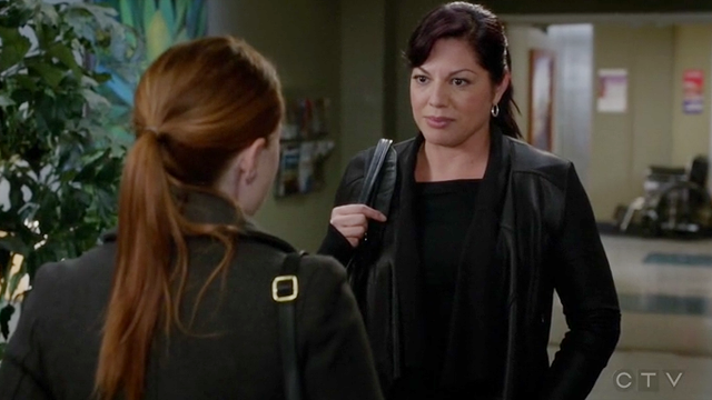Boob(s On Your) Tube: “Grey’s Anatomy” Gets Ready For Lesbian Divorce Court