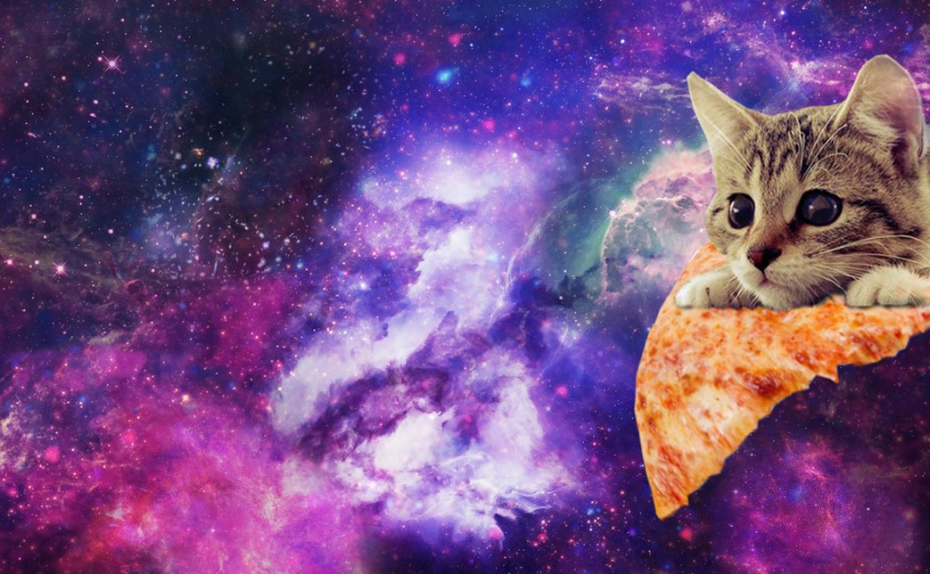 cat-space-pizza