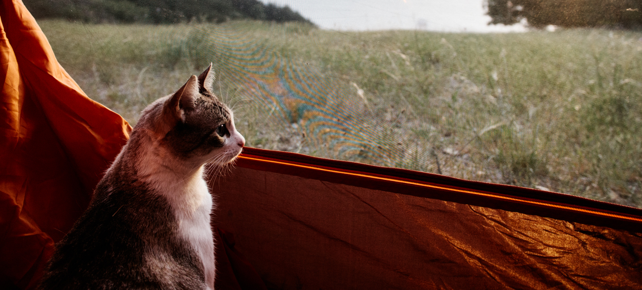 FRIDAY OPEN THREAD: Hello, It’s Me, I’ve Been on a Mountain and I Want to Know Your Life