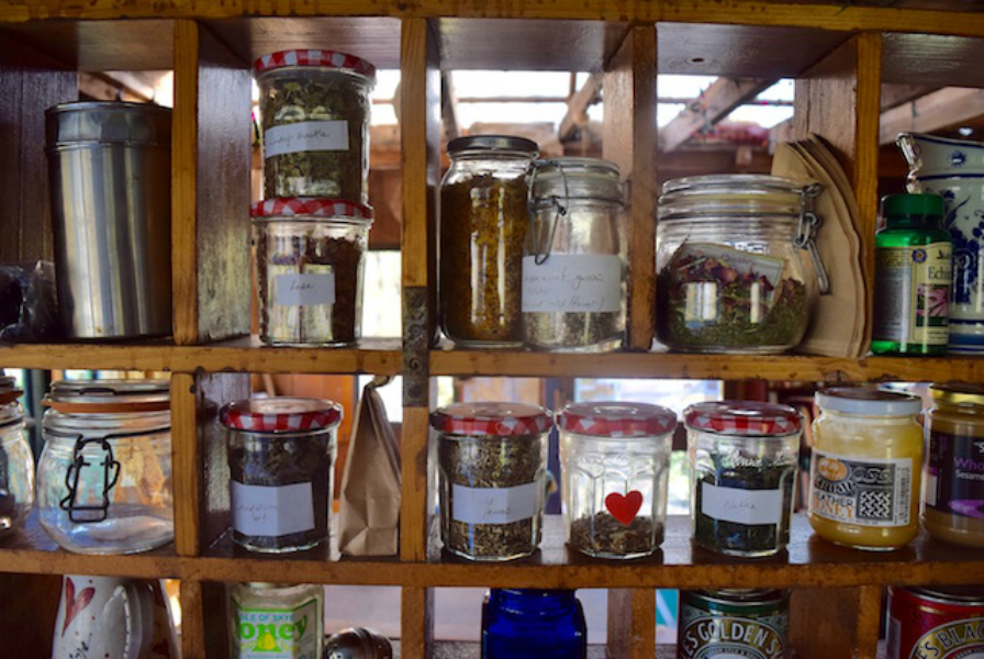 Witch Hunt: Healing Spells and Magical Teas