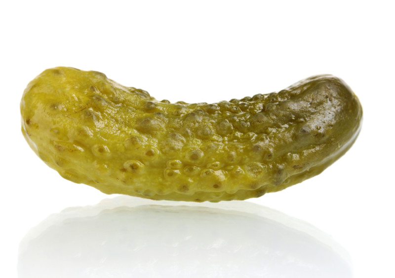 Countdown to Baby T. Rex: The Non-Gestational Parent Perspective and My Enduring Love for Pickles (37 Weeks)
