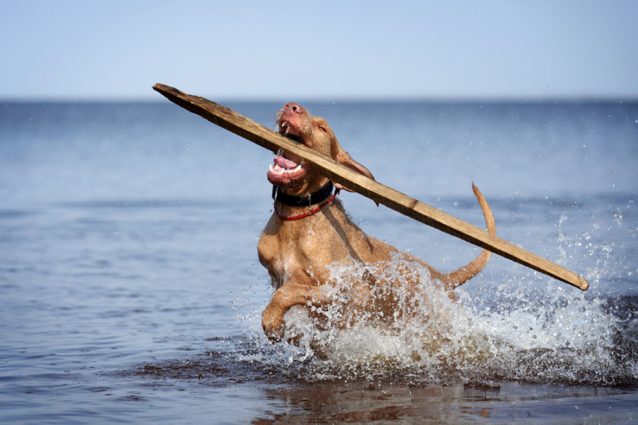 Friday Open Thread: You Deserve to Feel Better