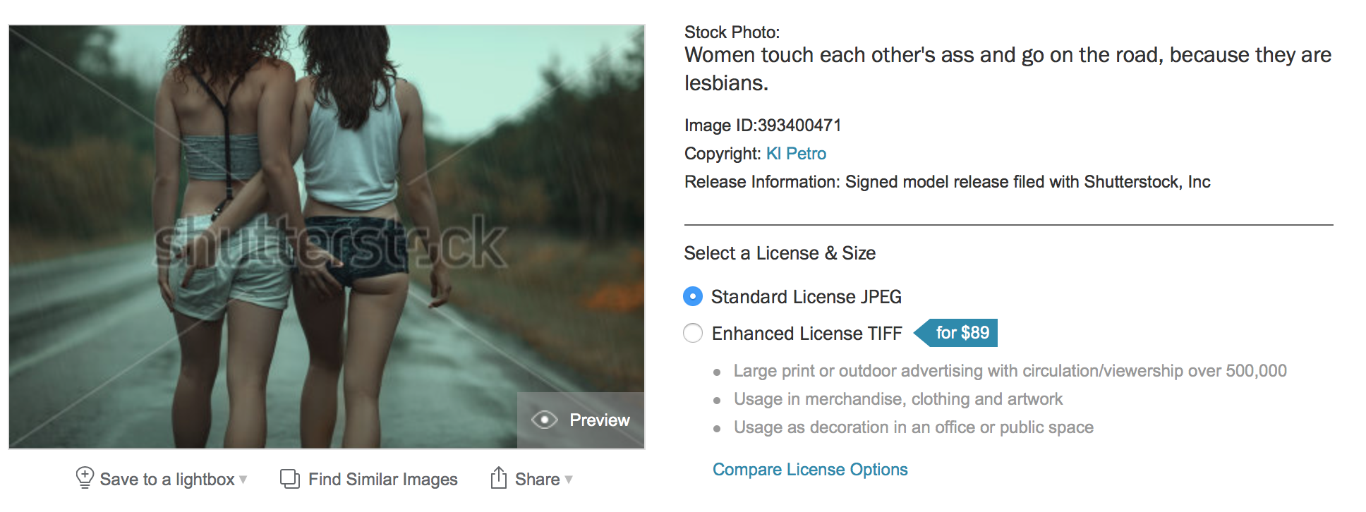 20 Most Profound Lesbian and Bisexual Stock Photograph Descriptions