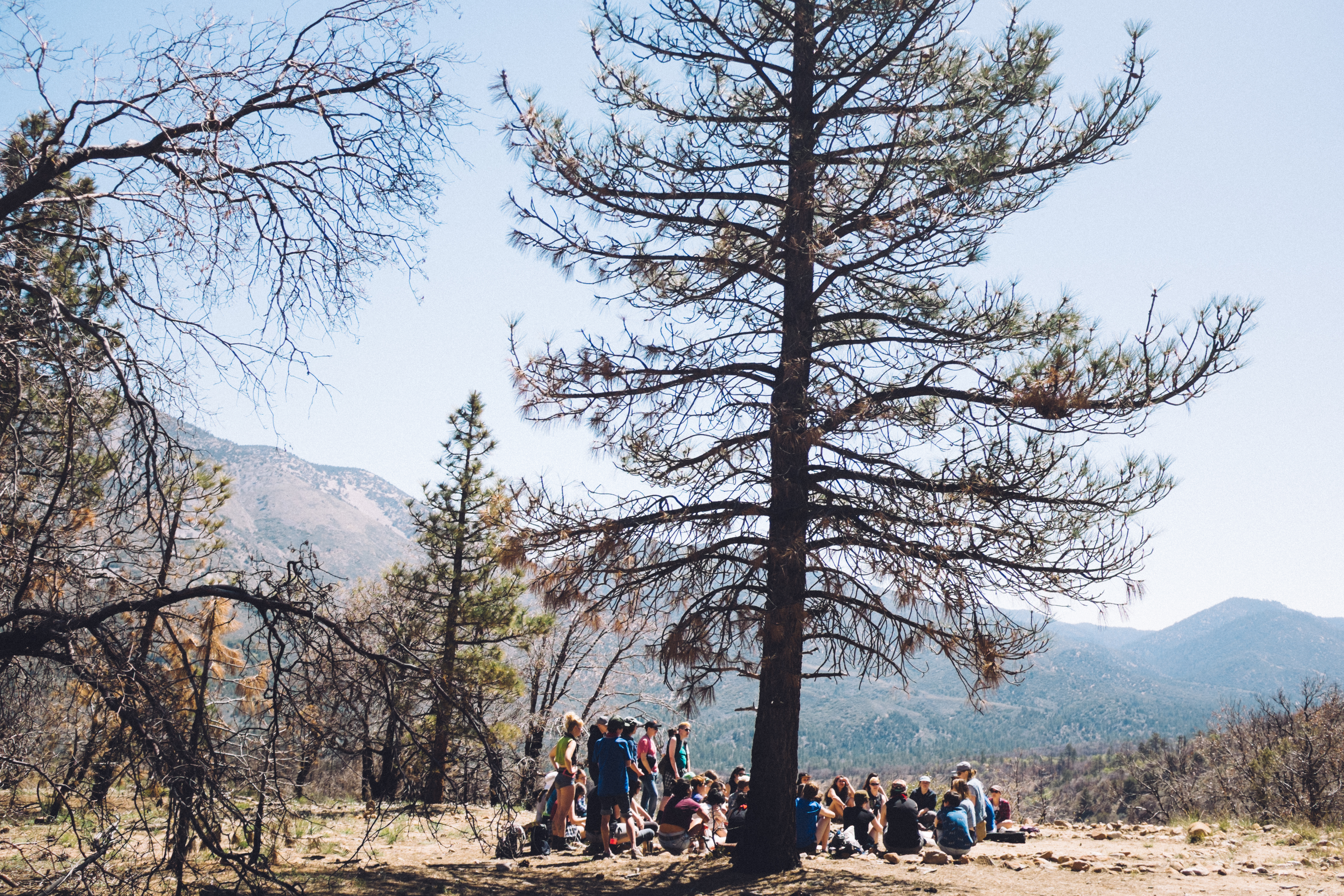 Campership Alert! We’re Sending Three Trans Women to Midwest A-Camp for Free!