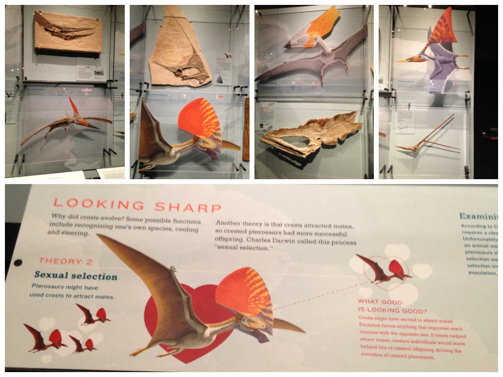 The 14 Gayest Things at the Natural History Museum of Los Angeles County