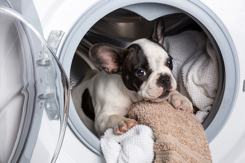FRIDAY OPEN THREAD: But Does It Spark Joy?