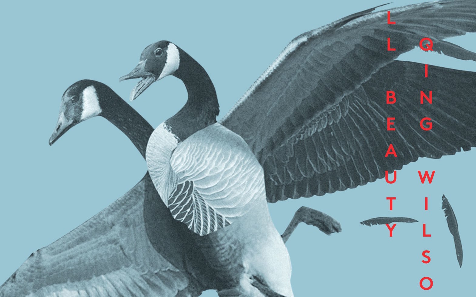 “Small Beauty” is a Big Deal for Queer Lit and Trans Girls: An Interview With Author Jia Qing Wilson-Yang