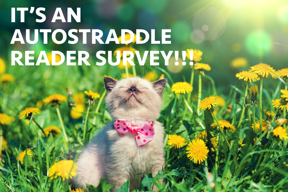Autostraddle Reader Survey 2016: We Wanna Know All About You!