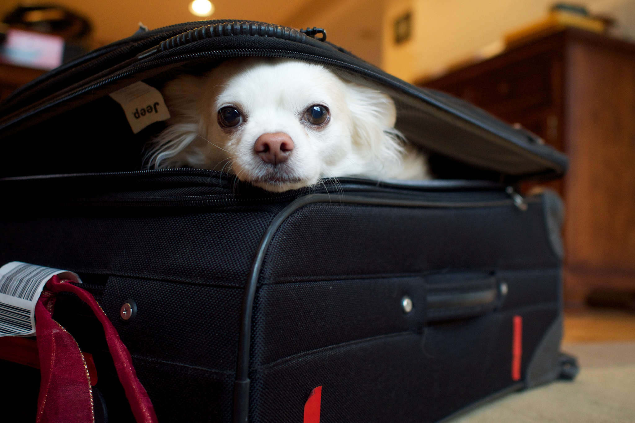 FRIDAY OPEN THREAD: Please Tell Me The Worst of It Is Over