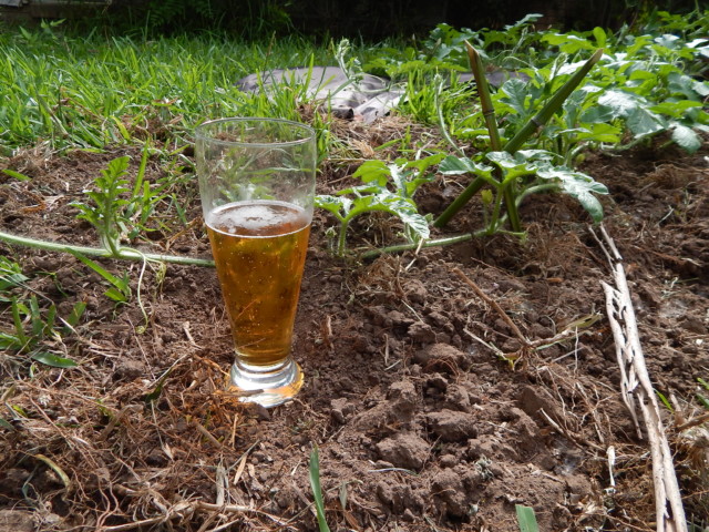 Cream Ale/American Pilsner