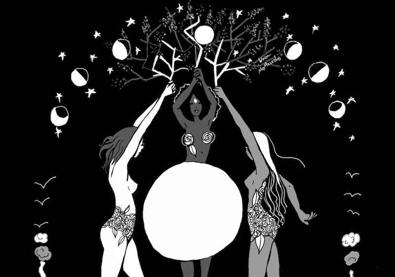 Fool’s Journey: The Dark Days Tarot is Your Queer Lunar Oracle