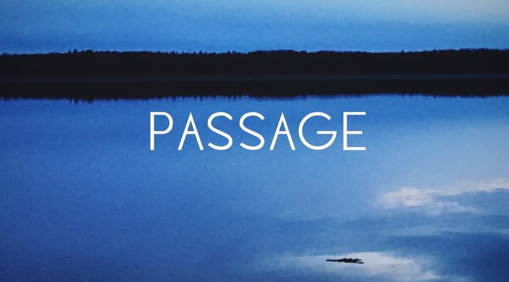 When Death Makes You Kind: Beyond Survival In Gwen Benaway’s “Passage”