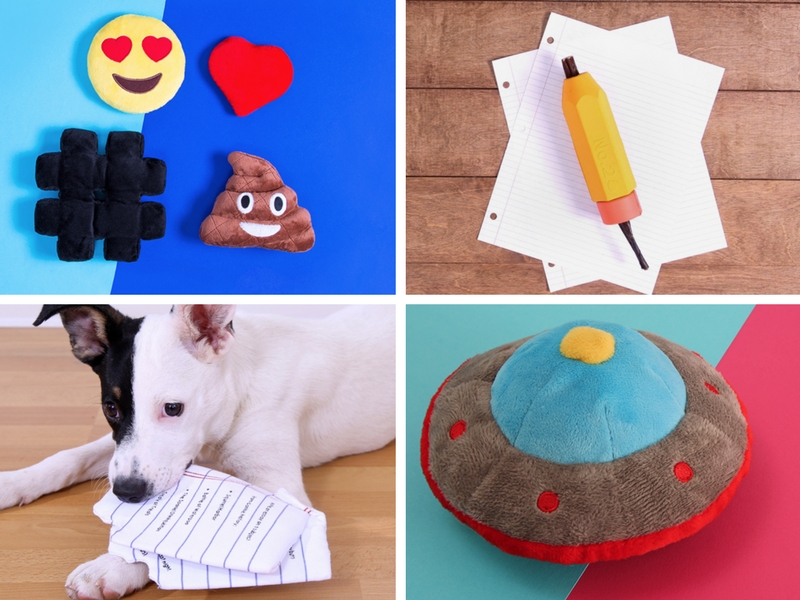 Relevant To Your Interests: You and Your Dog Are Both Nerds