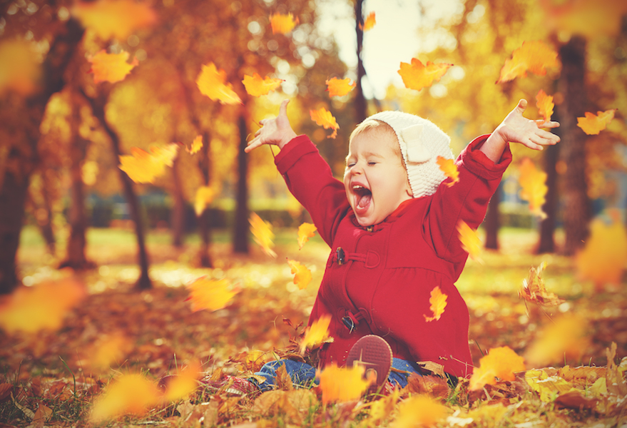 Friday Open Thread: Is It Fall Where You Are?