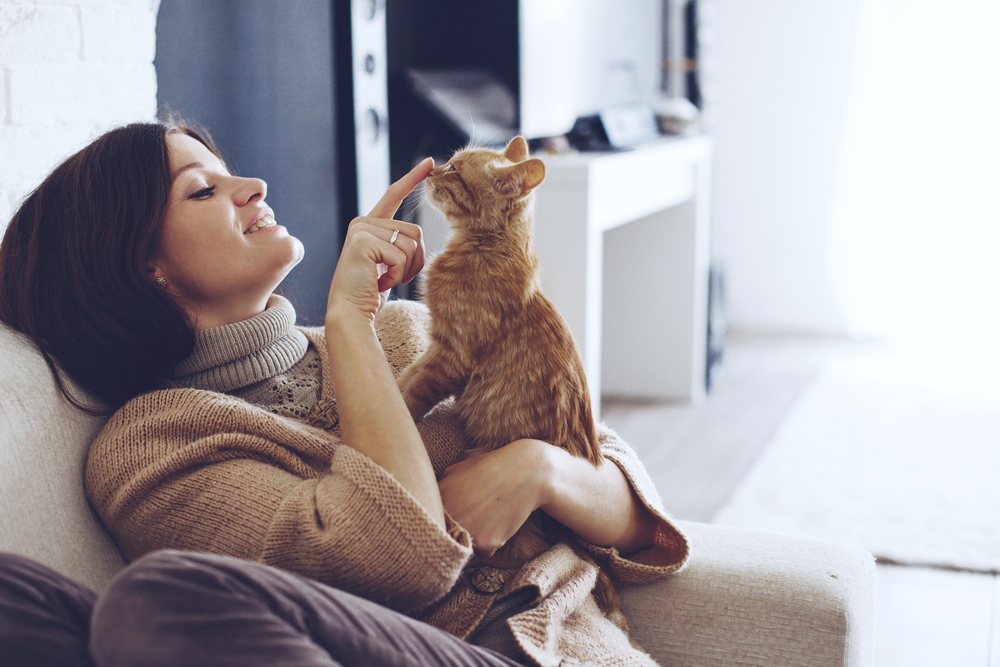 Holigay Gift Guide 2016: Stocking Stuffers for the Cat (Lover) in Your Life