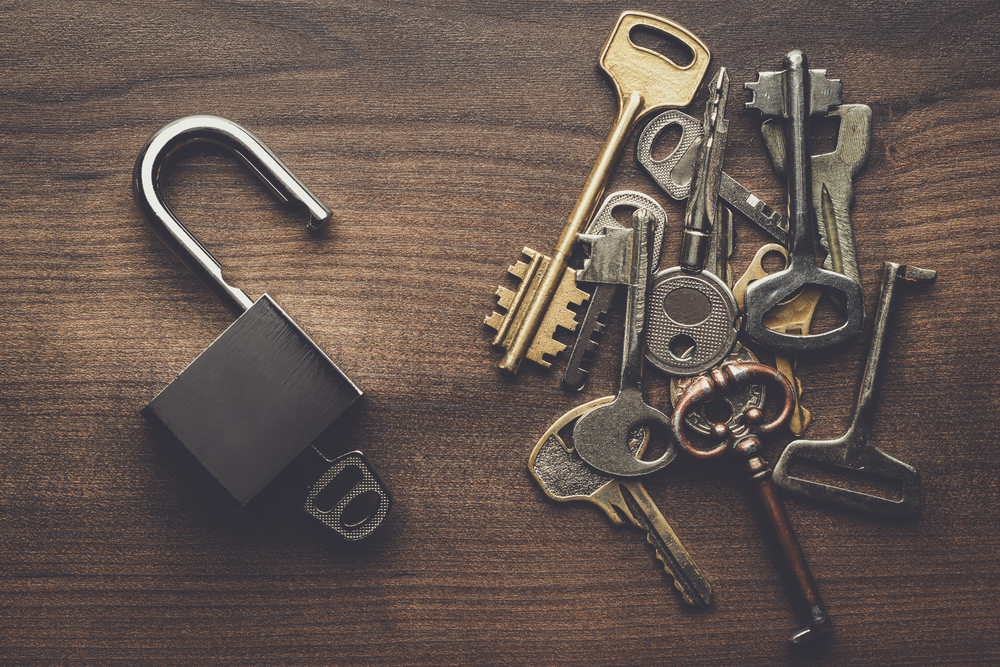 Step Up Your Infosec In The Era of Trump and Throw Yourself a Password Party