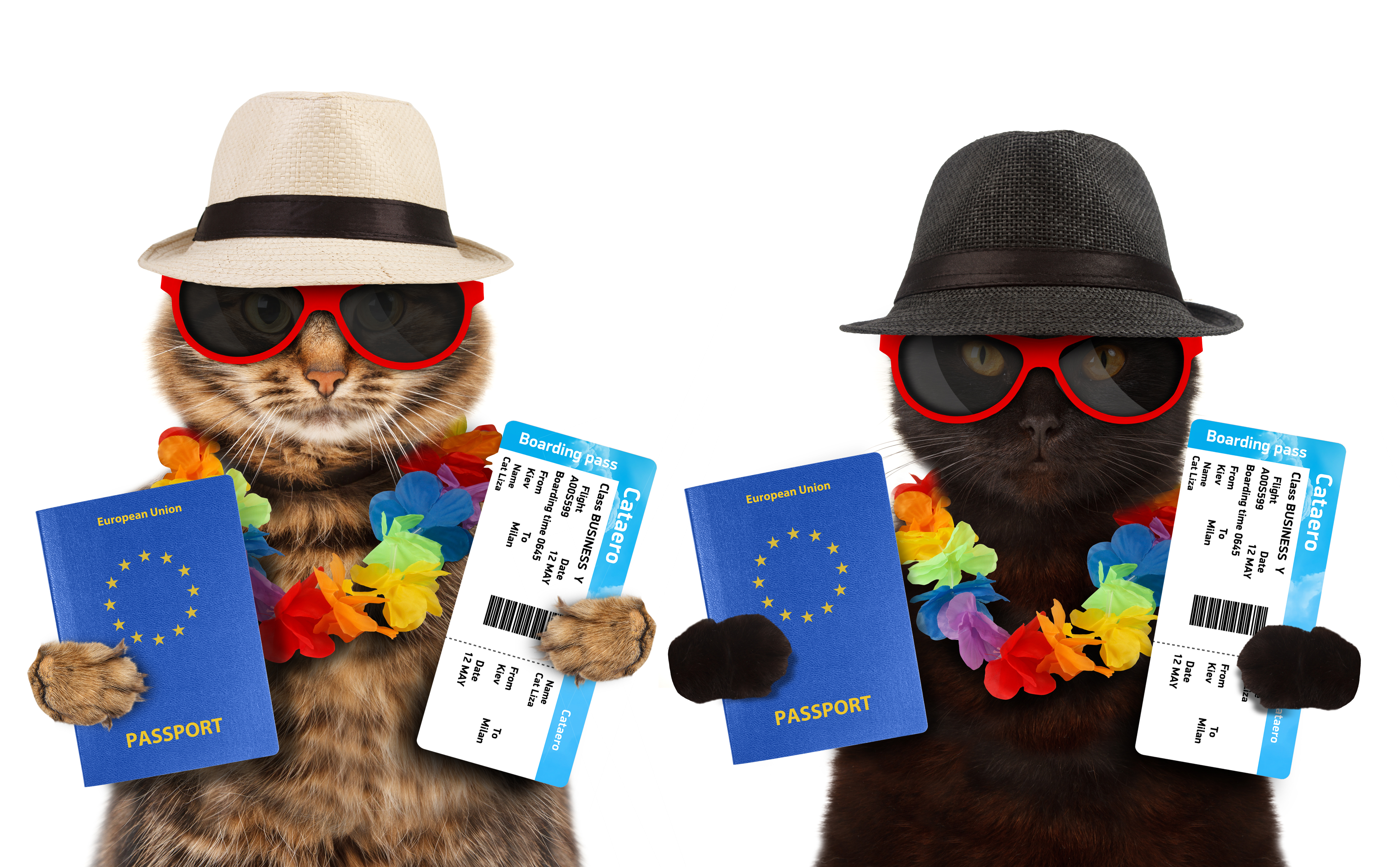 FRIDAY OPEN THREAD: I’m a Non-Resident Alien, and So Can You!