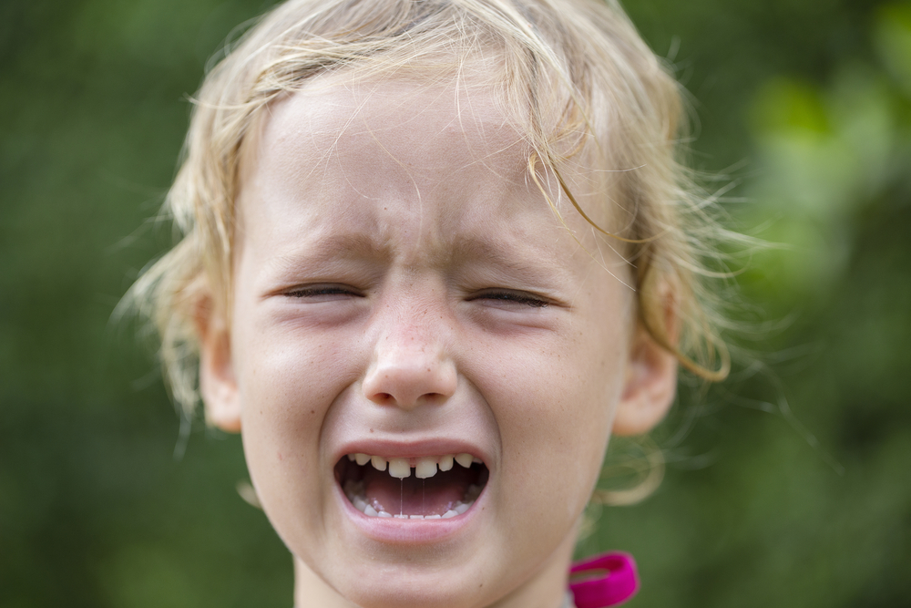 18 Pieces of Media in 2016 Ranked by How Much They Made Me Cry