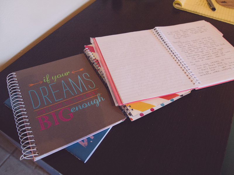 24 Excerpts From Nikki’s Diary, 2013 – 2015