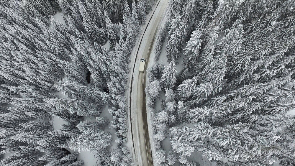 FRIDAY OPEN THREAD: Snow Days And Spring Dreams