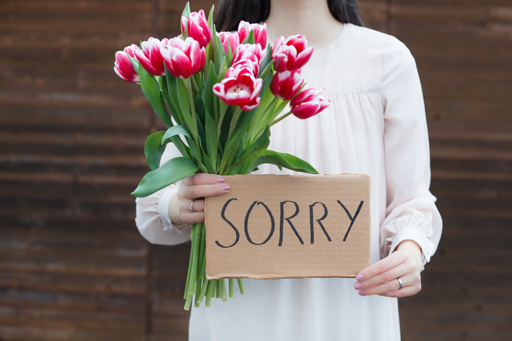 Feelings Rookie: How to Apologize