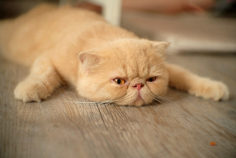 FRIDAY OPEN THREAD: Bring Me Your Tired and Your Queer as Fuck