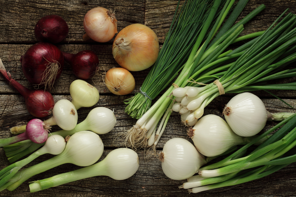 40 Recipes Celebrating Onion Diversity