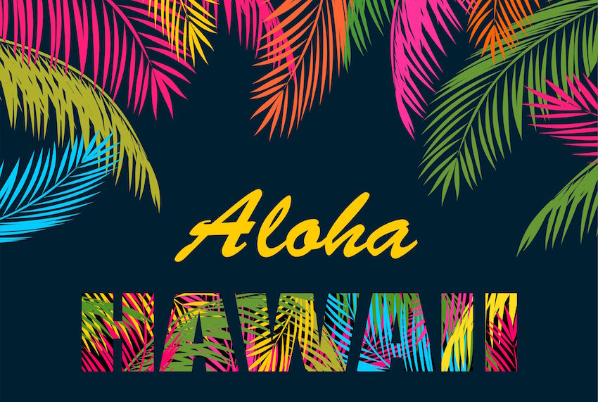 Sunday Funday is Packing for Hawai’i and Fighting Discrimination at Home