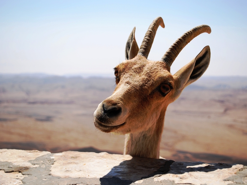 FRIDAY OPEN THREAD: God, Remember LiveJournal?