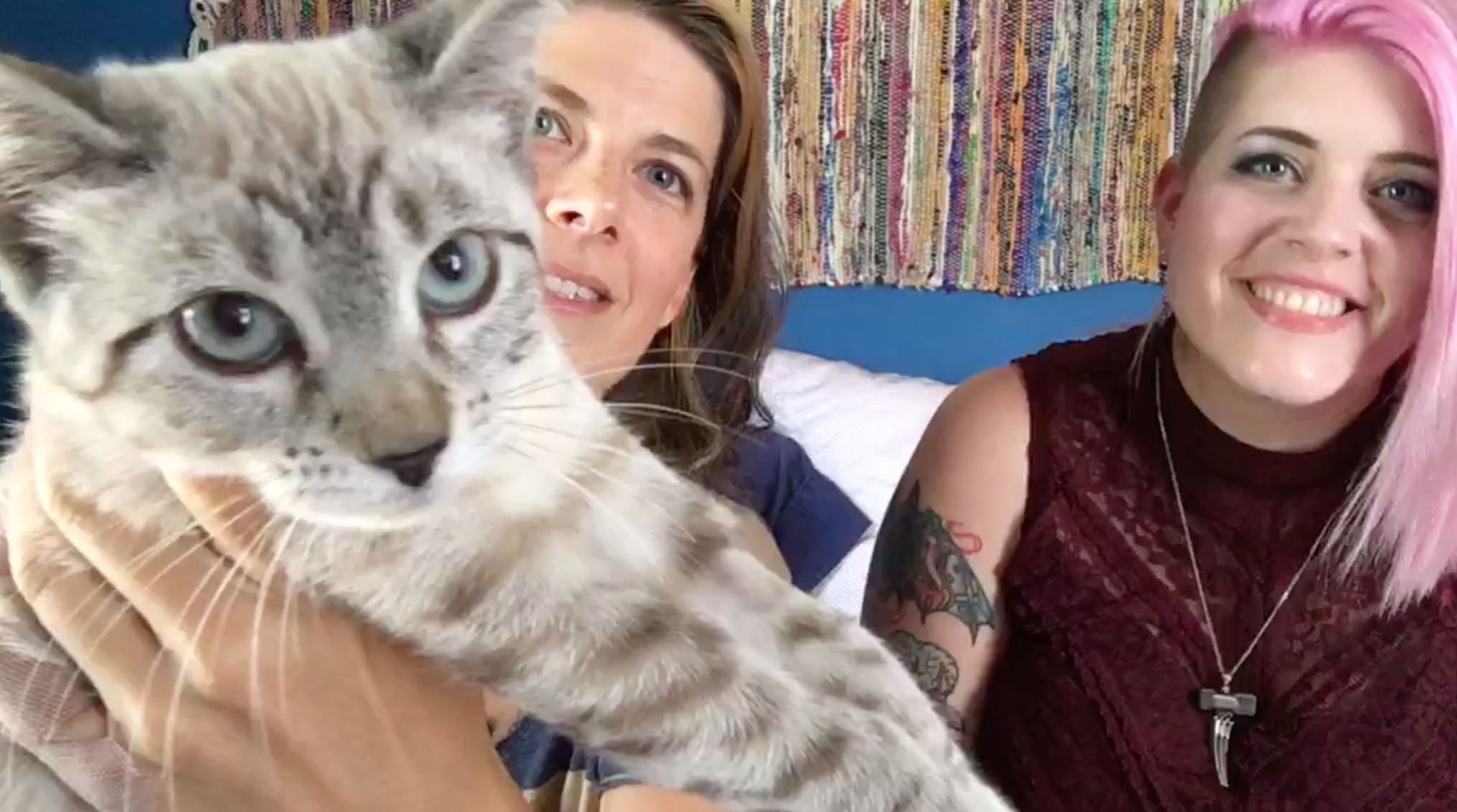 VIDEO! Getting In Bed with Kate Leth: Bisexuality II