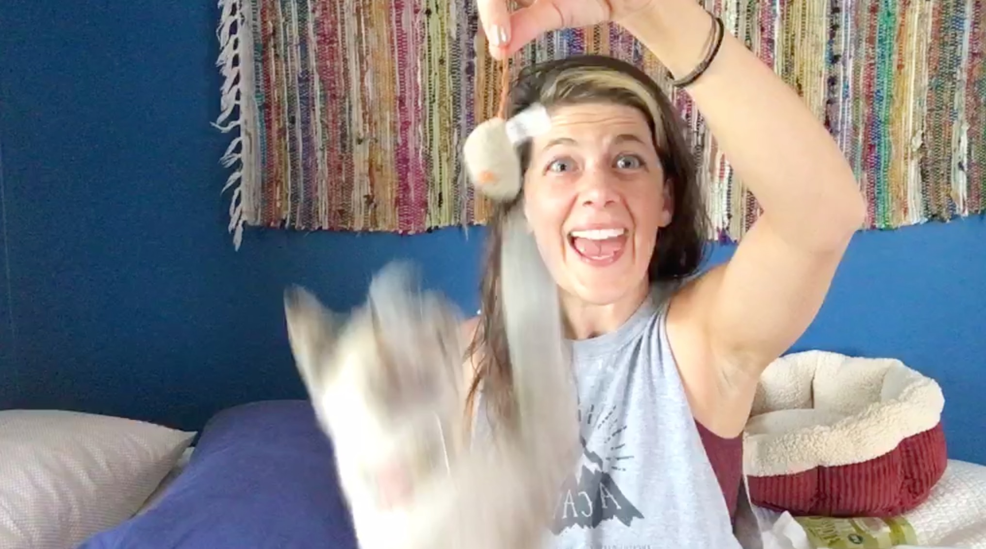 VIDEO! Getting In Bed with Kristin: YES CATS (with Sam)