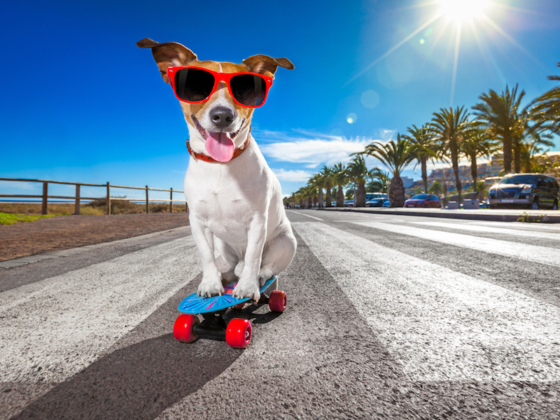 Friday Open Thread: Misandry and Mimosas