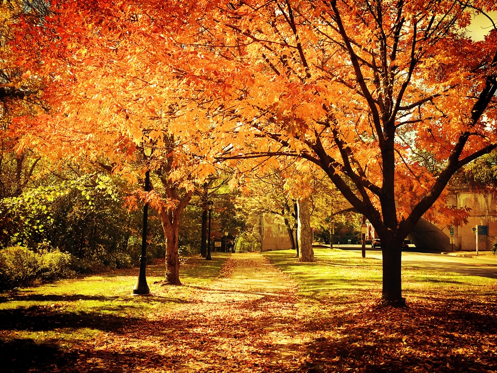 FRIDAY OPEN THREAD: It’s The Last Weekend of Summer, We Did It!