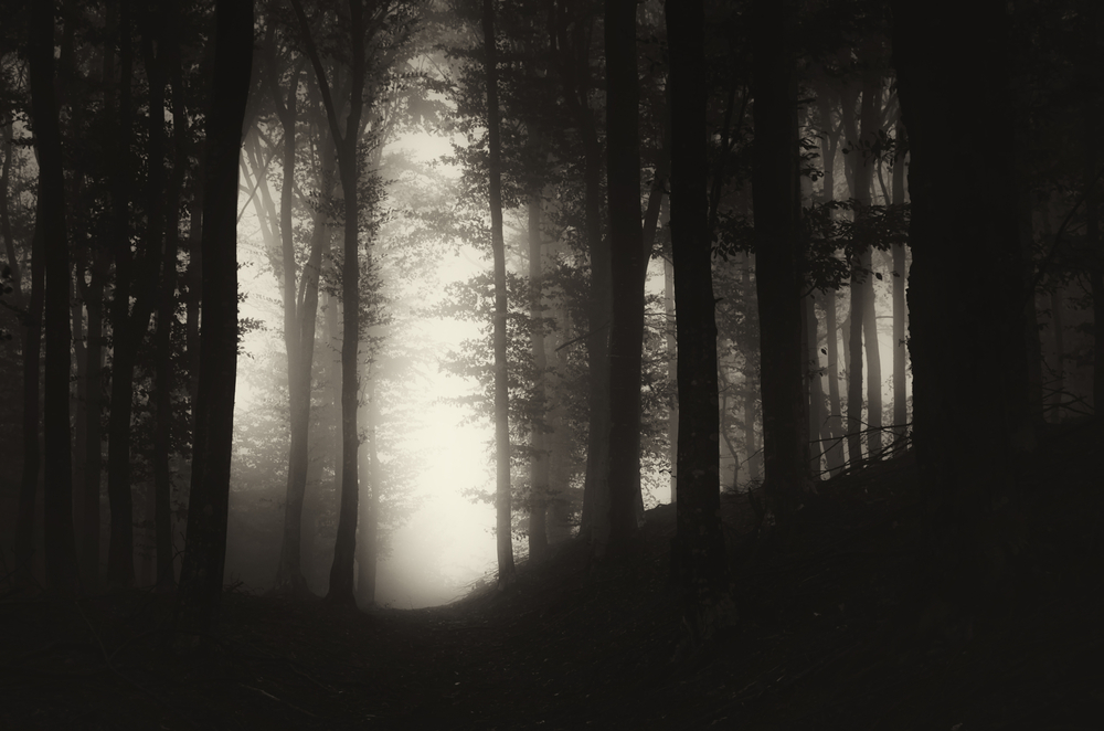 FRIDAY OPEN THREAD: Are You Afraid of the Dark?