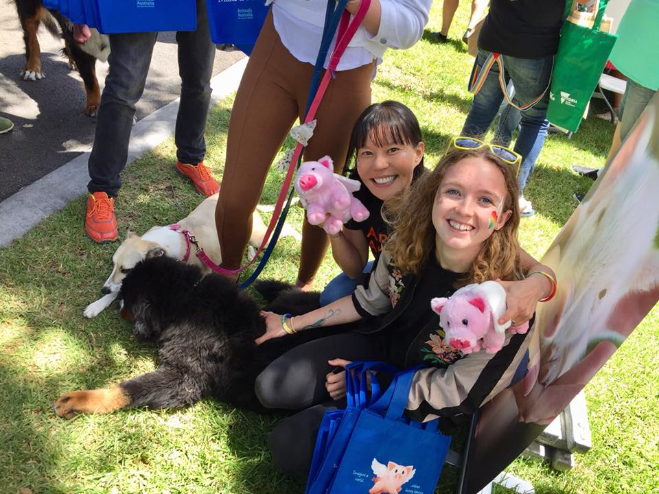 FRIDAY OPEN THREAD: Happy Pride from Down Under!
