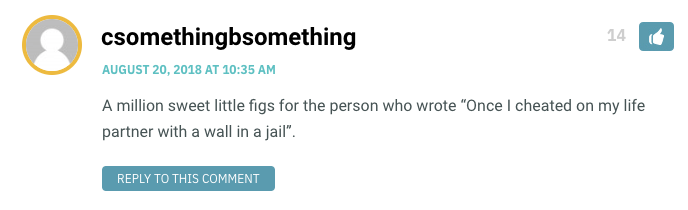 A million sweet little figs for the person who wrote “Once I cheated on my life partner with a wall in a jail”.