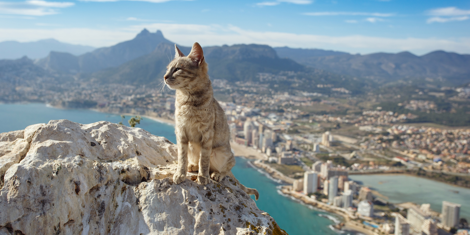 FRIDAY OPEN THREAD: Which Hill Will You Absolutely Insufferably Die On?