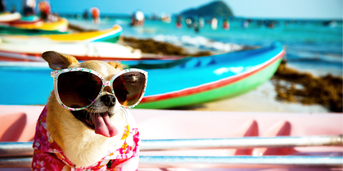 FRIDAY OPEN THREAD: It’s Not Over Yet! What’s On Your Summer Bucket List?