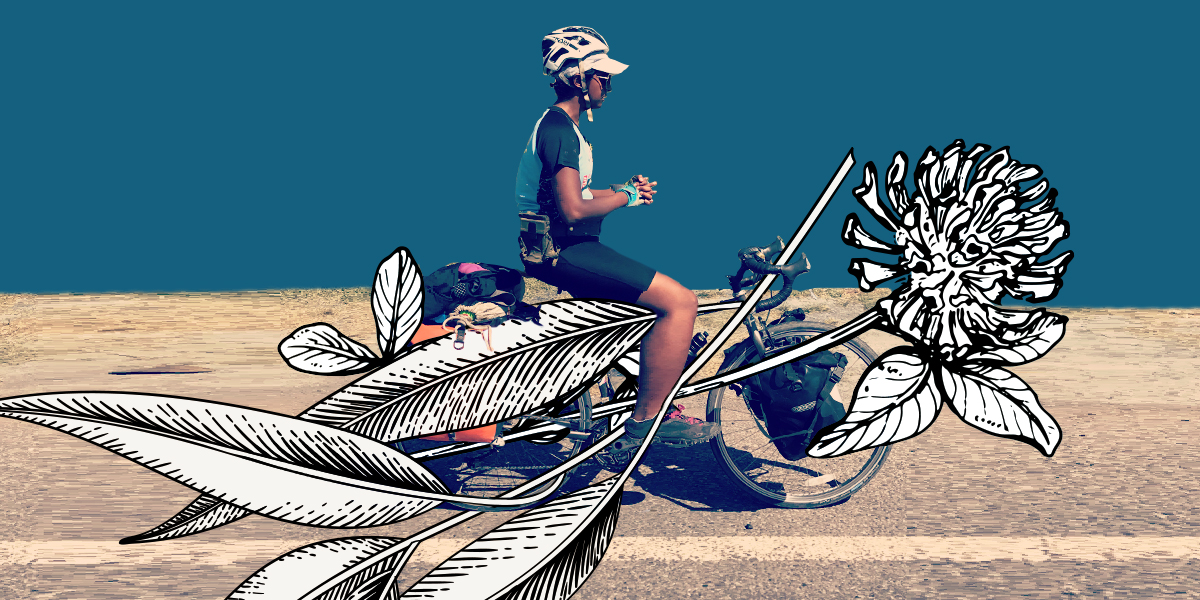 Food and Water, Silence and Solitude: The Bike Trip That Returned Me to Myself