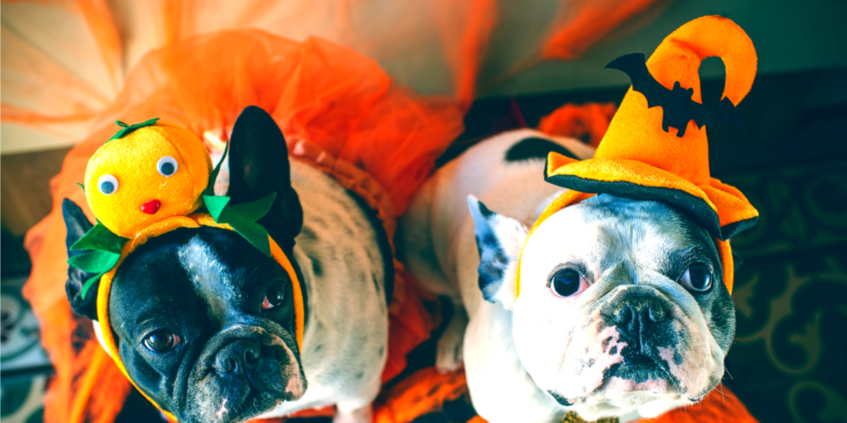 FRIDAY OPEN THREAD: What Are You Doing For Halloween?