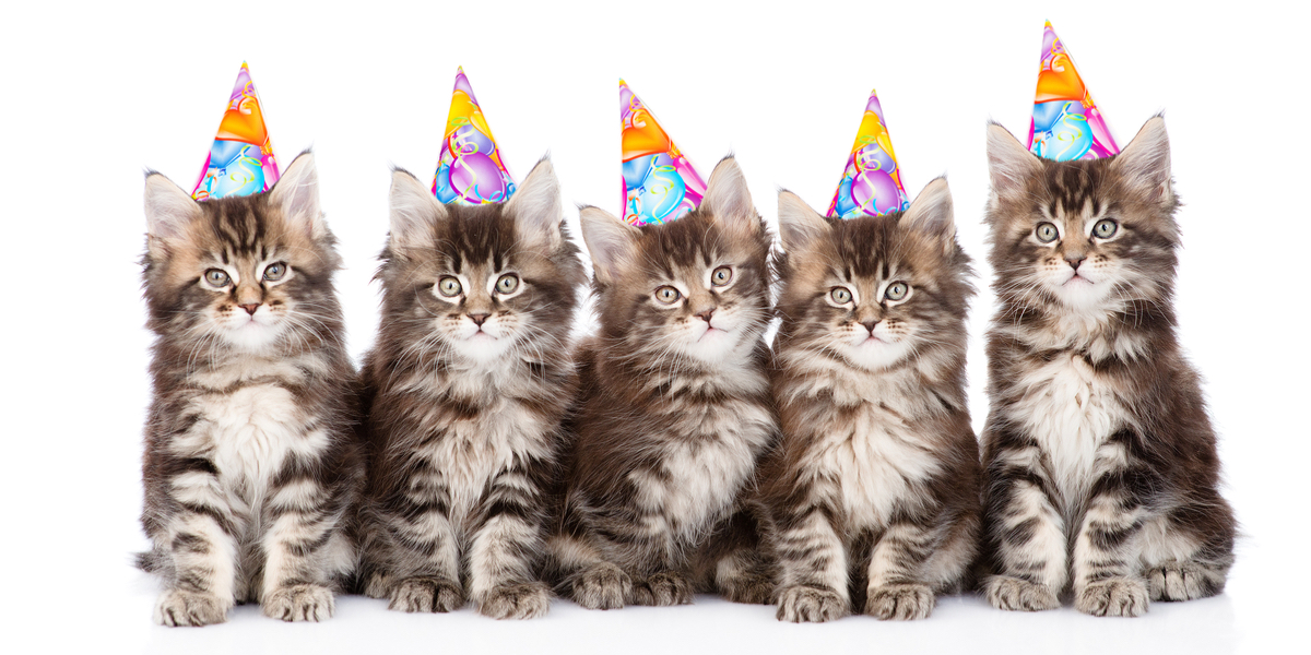 Send Autostraddle a Birthday Card, Because We’re Turning 10!