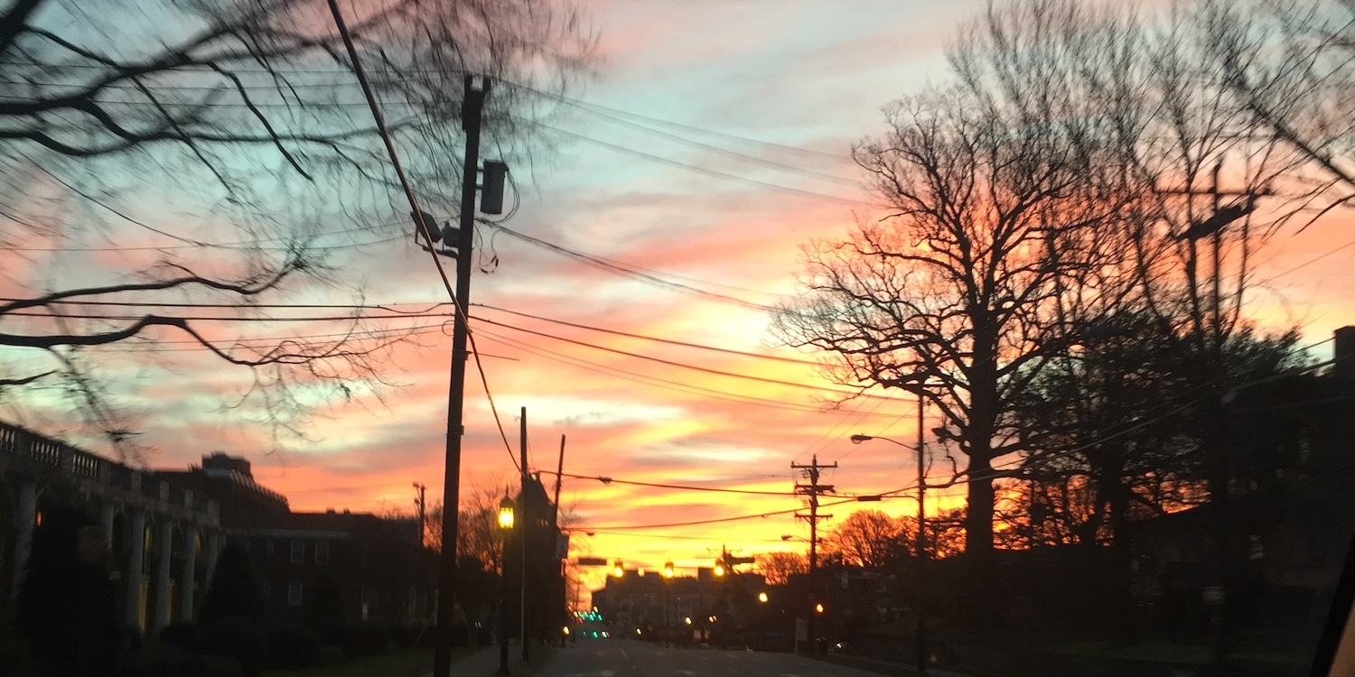 FRIDAY OPEN THREAD: On Cats And Sunsets