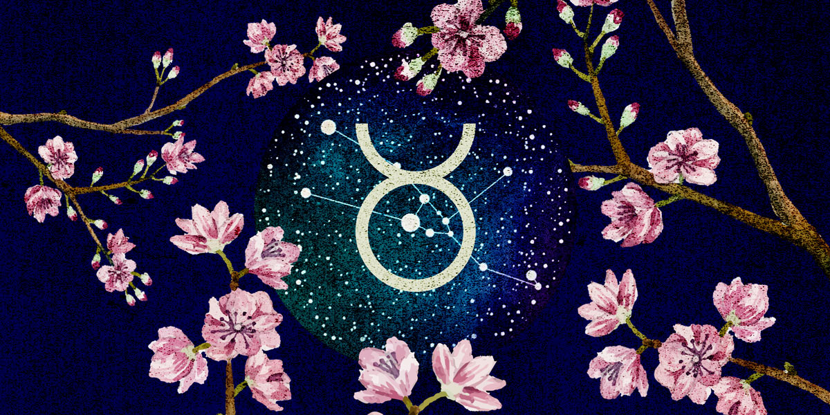 Queer Tarotscopes: Taurus Season Means It’s Time for Practical Magic